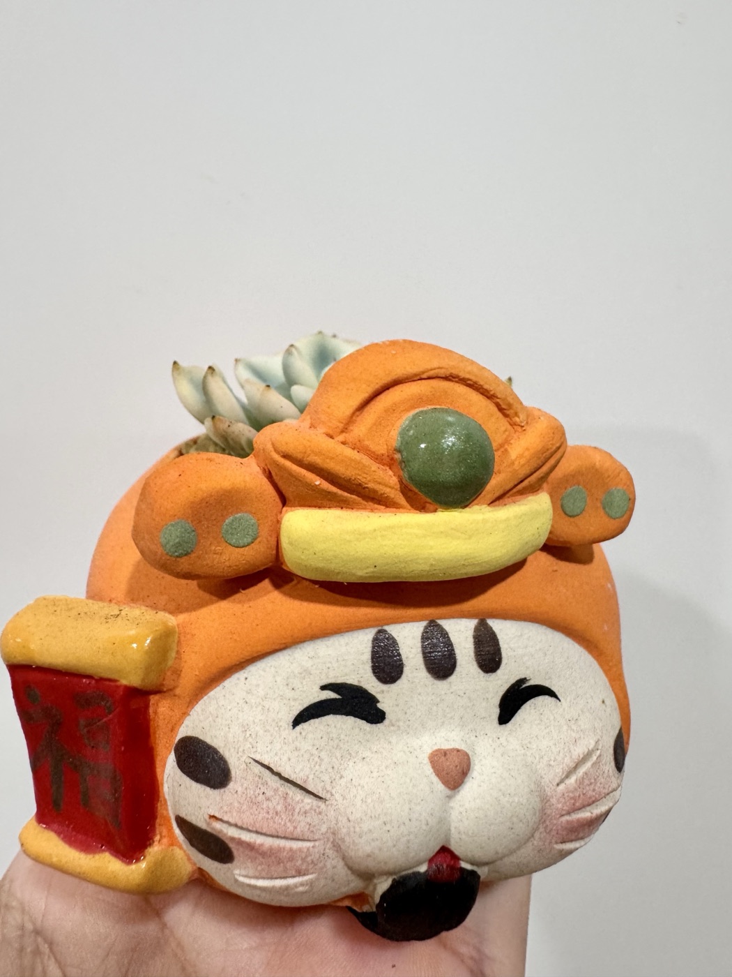 橘色招财猫造型花盆,带金元宝和福字,里面种着多肉